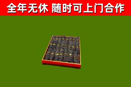 金州区回收海参